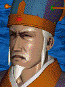 Romance of the Three Kingdoms V portrait